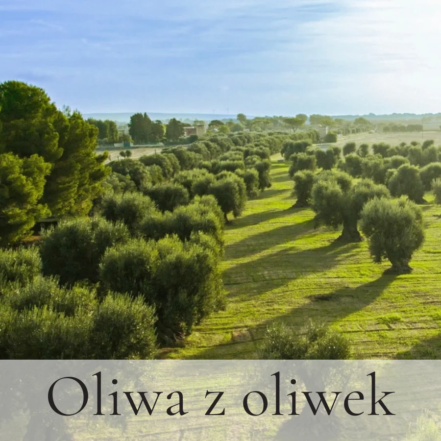 Włoska oliwa extra virgin: Twoja tajna broń w kuchni