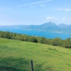 Włoski miód ze spadzi leśnej - Biologiczny znad Gardy 120g - Campagnari Luca Castelnuovo del Garda