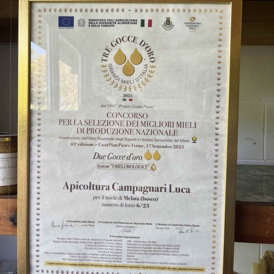 Włoski miód z bluszczu - Biologiczny z nad Gardy 250g - Campagnari Luca Castelnuovo del Garda