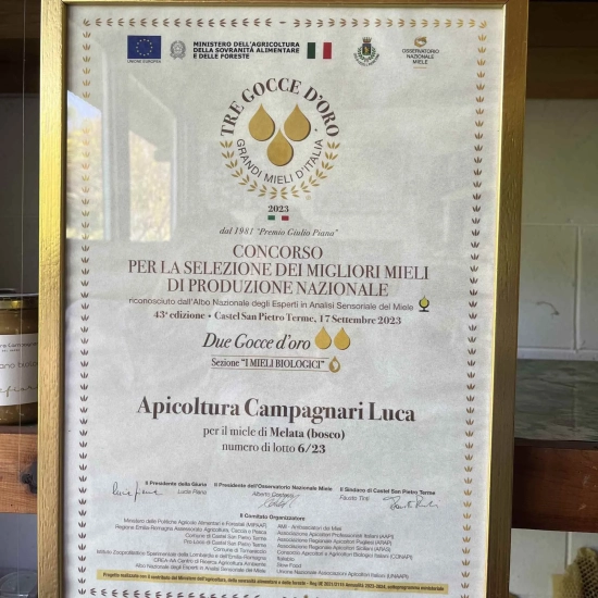 Włoski miód ze spadzi leśnej - Biologiczny znad Gardy 120g - Campagnari Luca Castelnuovo del Garda