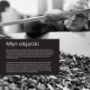Toskańska organiczna oliwa z oliwek 500ml PREMIUM - Azienda Agricola La Ranochiaia