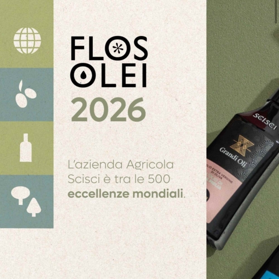 Oliwa Peranzana BIO (TOP) - Rzemieślnicza z Apulii - FLOS OLEI - Najlepsze oliwy świata - Scisci Azienda Agricola