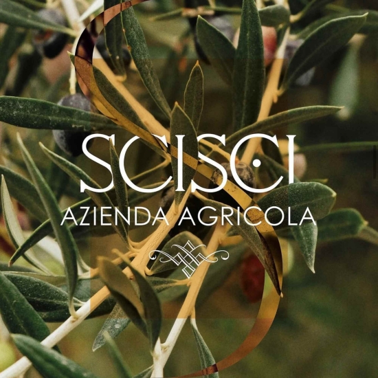 Oliwa Peranzana BIO (TOP) - Rzemieślnicza z Apulii - FLOS OLEI - Najlepsze oliwy świata - Scisci Azienda Agricola
