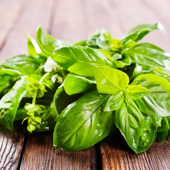 Pesto Genovese bez czosnku 190g - BIFFI - Pesto ala Genovese Senza Aglio