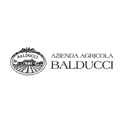 Balducci