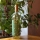 12e Mezzo Malvasia del Salento - Białe, delikatnie wytrawne, Apulia