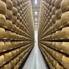 Krem parmezanowy - Parmigiano Reggiano - 993 Caseificio Cavola