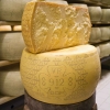 GRANA PADANO DOP - 36 miesięczne - Caseificio SanGirolamo