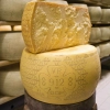GRANA PADANO DOP - 24 miesięczne - Caseificio San Girolamo