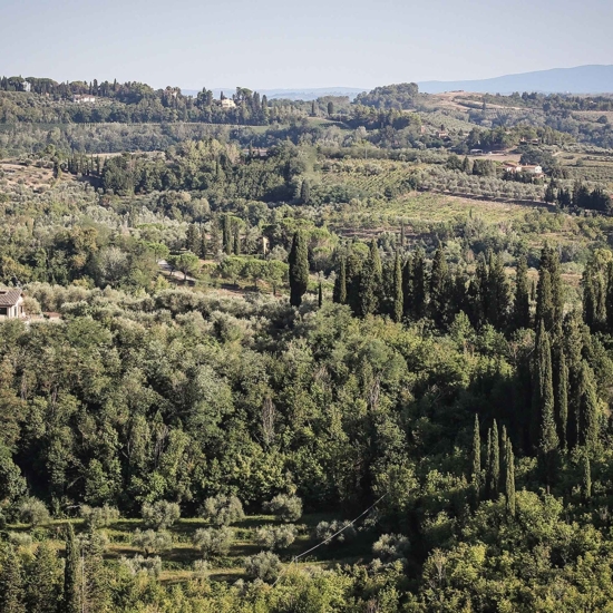 Sól truflowa 100g PREMIUM - Sale al Tartufo Selektia Tartufi Toscano