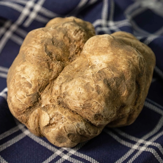 Toskańska oliwa o smaku białej trufli 250ml PREMIUM - Olio extra vergine di oliva al Tartufo Bianco