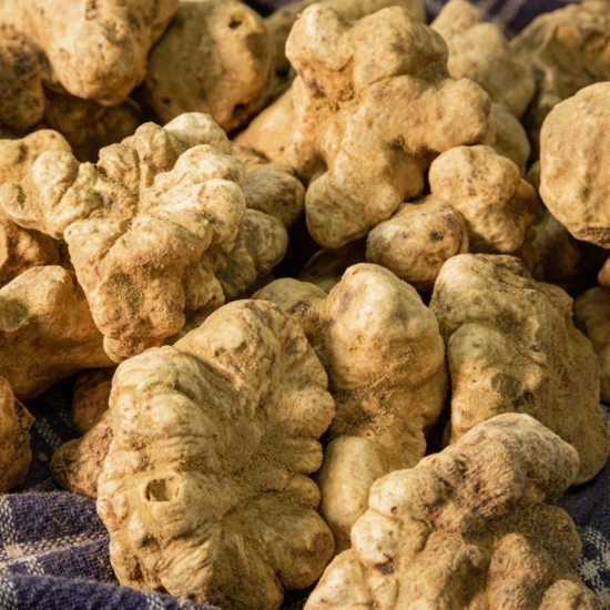 Sól truflowa 100g PREMIUM - Sale al Tartufo Selektia Tartufi Toscano