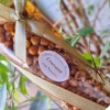 Orzechy laskowe w miodzie i karmelu 120g - CROCCANTE con Nocciole